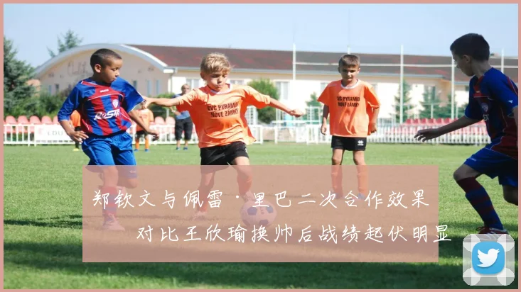郑钦文与佩雷·里巴二次合作效果，对比王欣瑜换帅后战绩起伏明显
